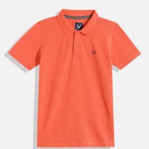 allen solly junior boys brand logo polo collar tsh