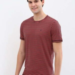 allen solly men striped round neck cotton tshirt