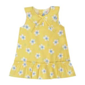 clothe funn floral printed sleeveless a line dress